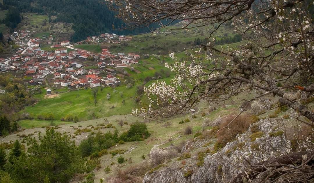 Вила Здравец Yagodina Exterior photo
